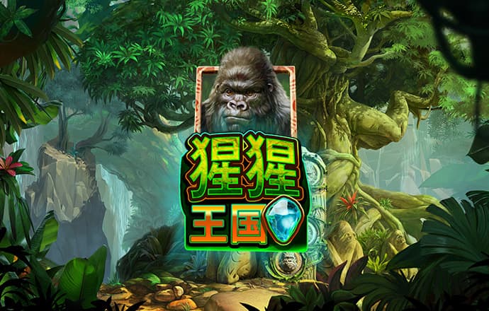 87558威尼斯登陆